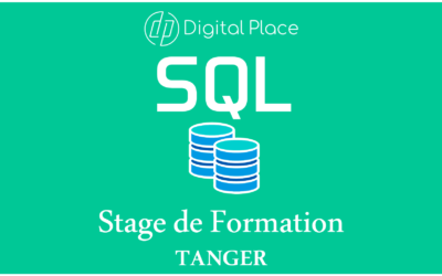 Formation SQL : Utilisation avancée